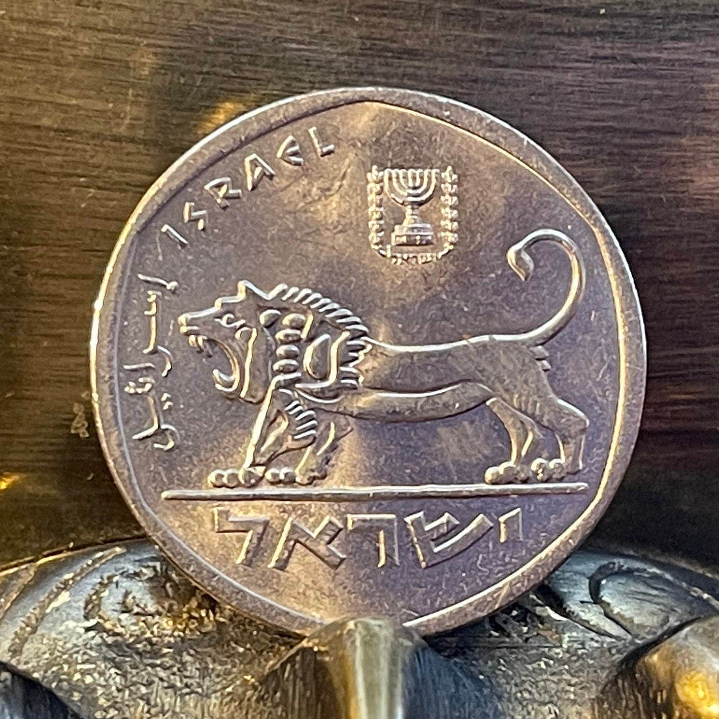Seal of Shema Lion & Menorah 5 Lirot Israel Authentic Coin Money for Jewelry and Craft Making