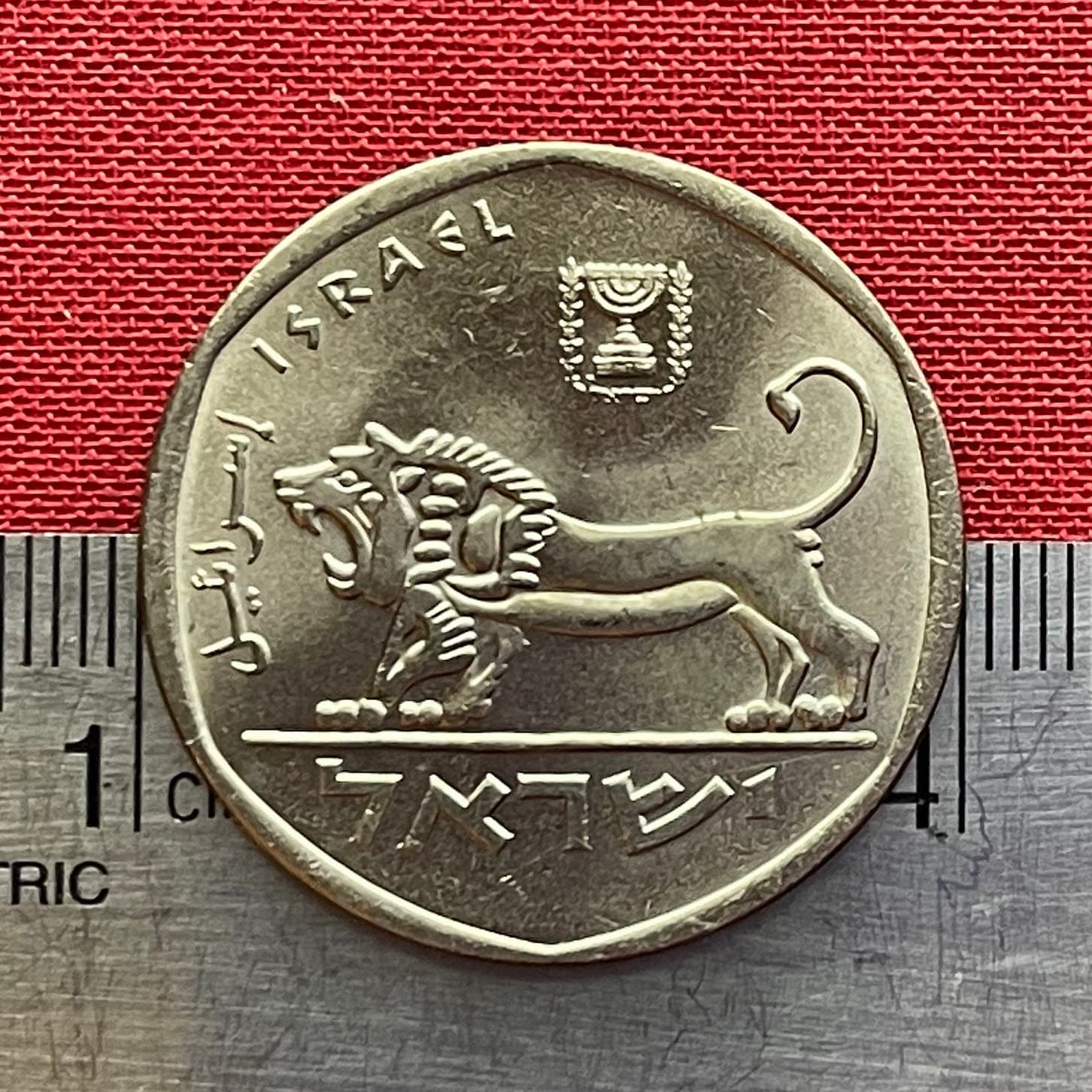 Seal of Shema Lion & Menorah 5 Lirot Israel Authentic Coin Money for Jewelry and Craft Making