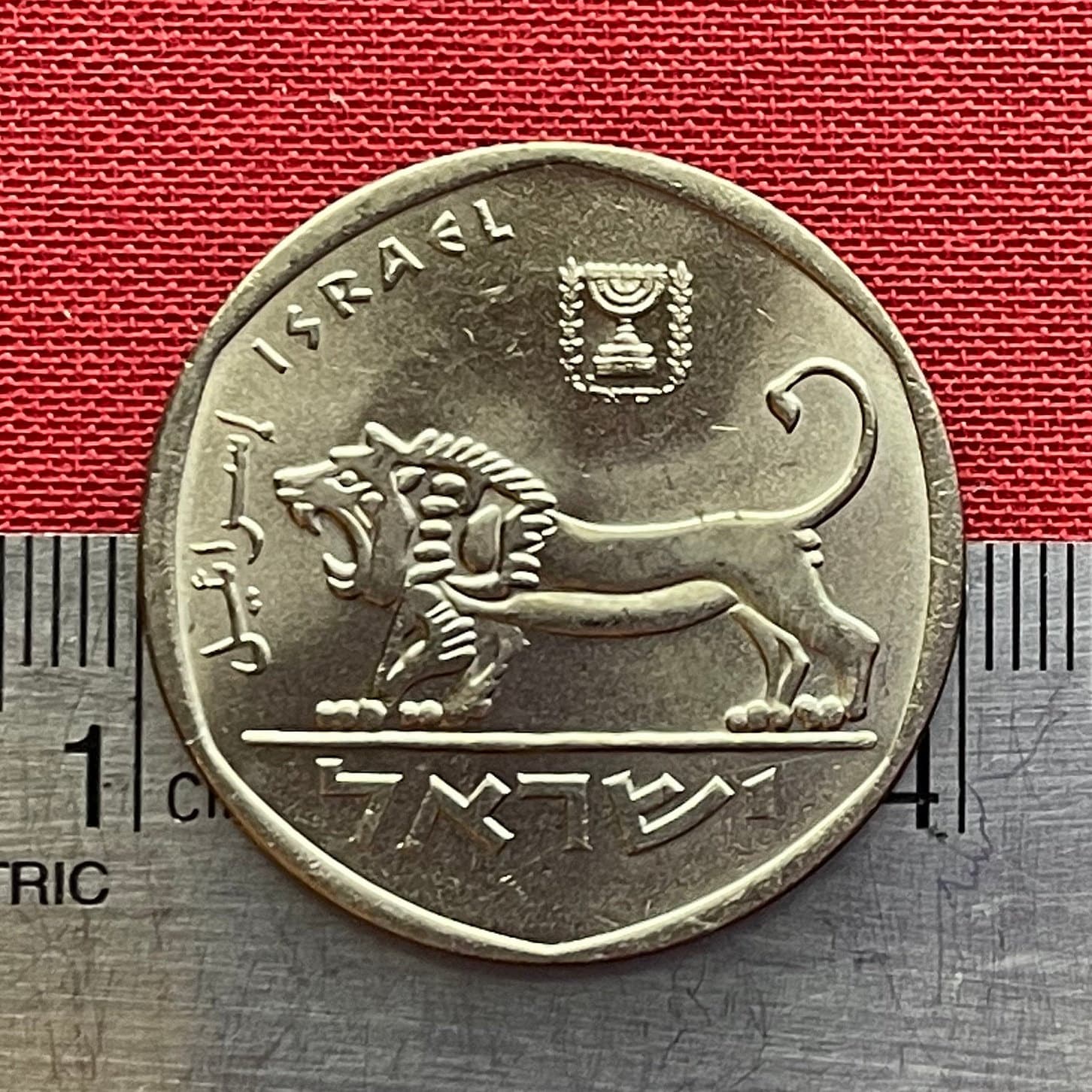 Seal of Shema Lion & Menorah 5 Lirot Israel Authentic Coin Money for Jewelry and Craft Making