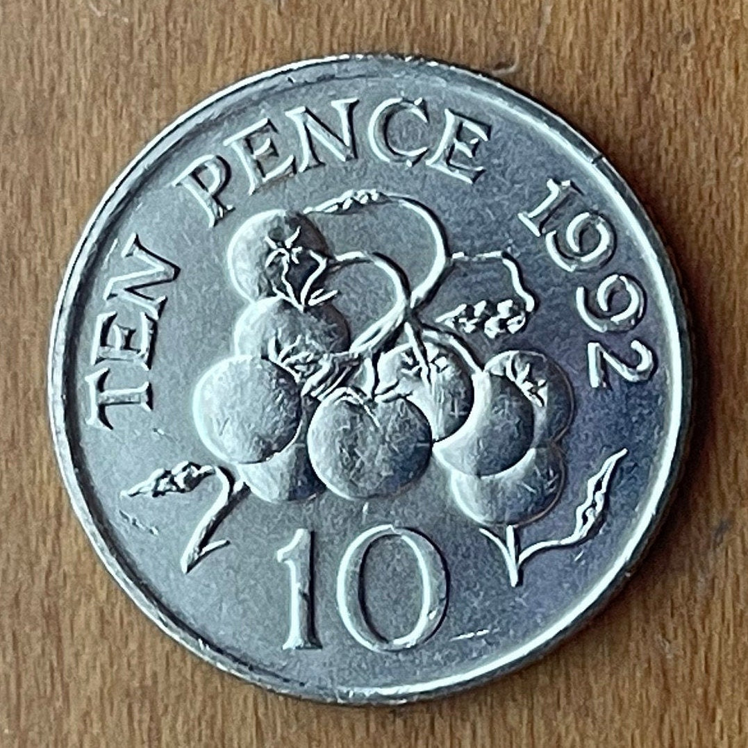 Tomatoes on Vine 10 Pence Guernsey Authentic Coin Money for Jewelry and Craft Making