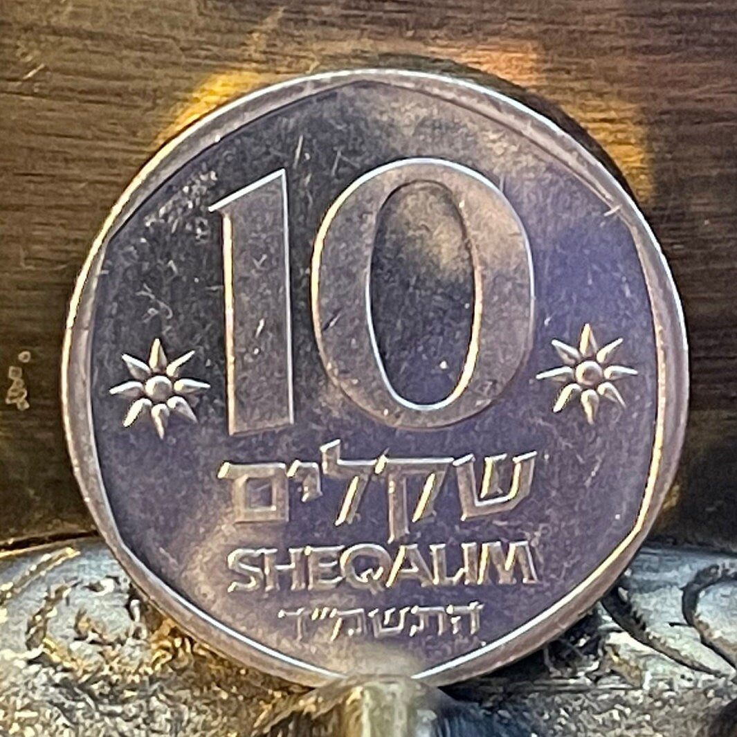 Theodor Herzl 10 Shequalim Israel Authentic Coin Money for Jewelry and Craft Making (Father of Israel) (Zionism) 1984
