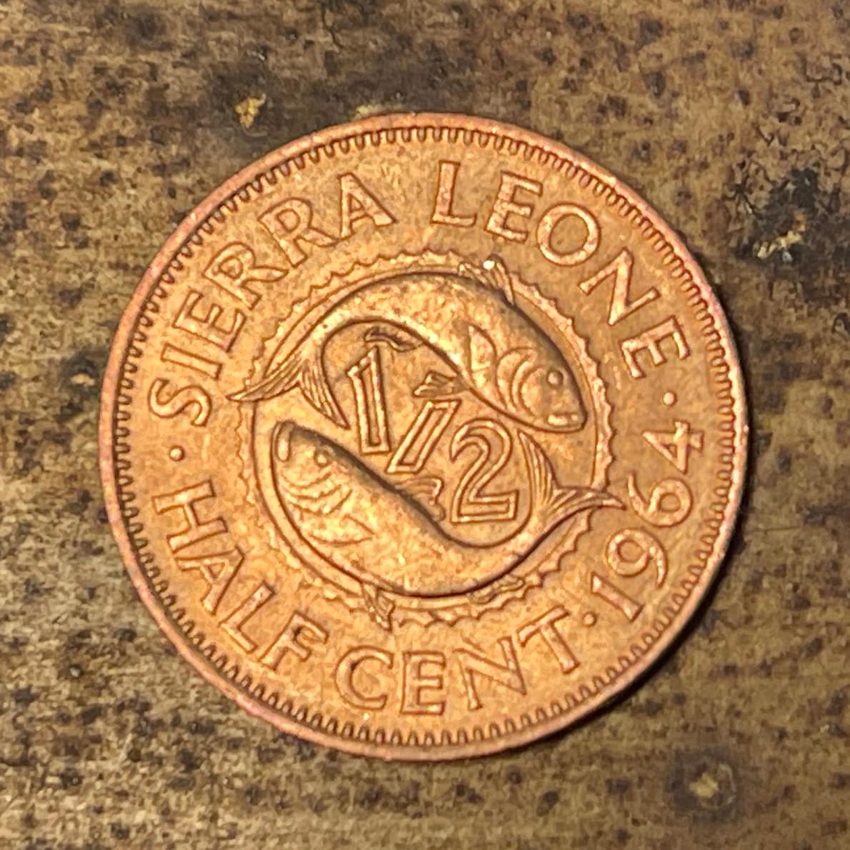 Bonga Shad & Sir Milton Margai 1/2 Cent Sierra Leone Authentic Coin Money for Jewelry and Craft Making (1964)
