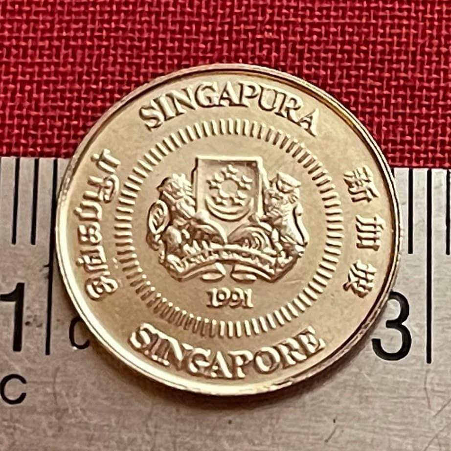 Star Jasmine 10 Cents Singapore Authentic Coin Money for Jewelry and Craft Making (Kund) (Hindu Bridal Garland)