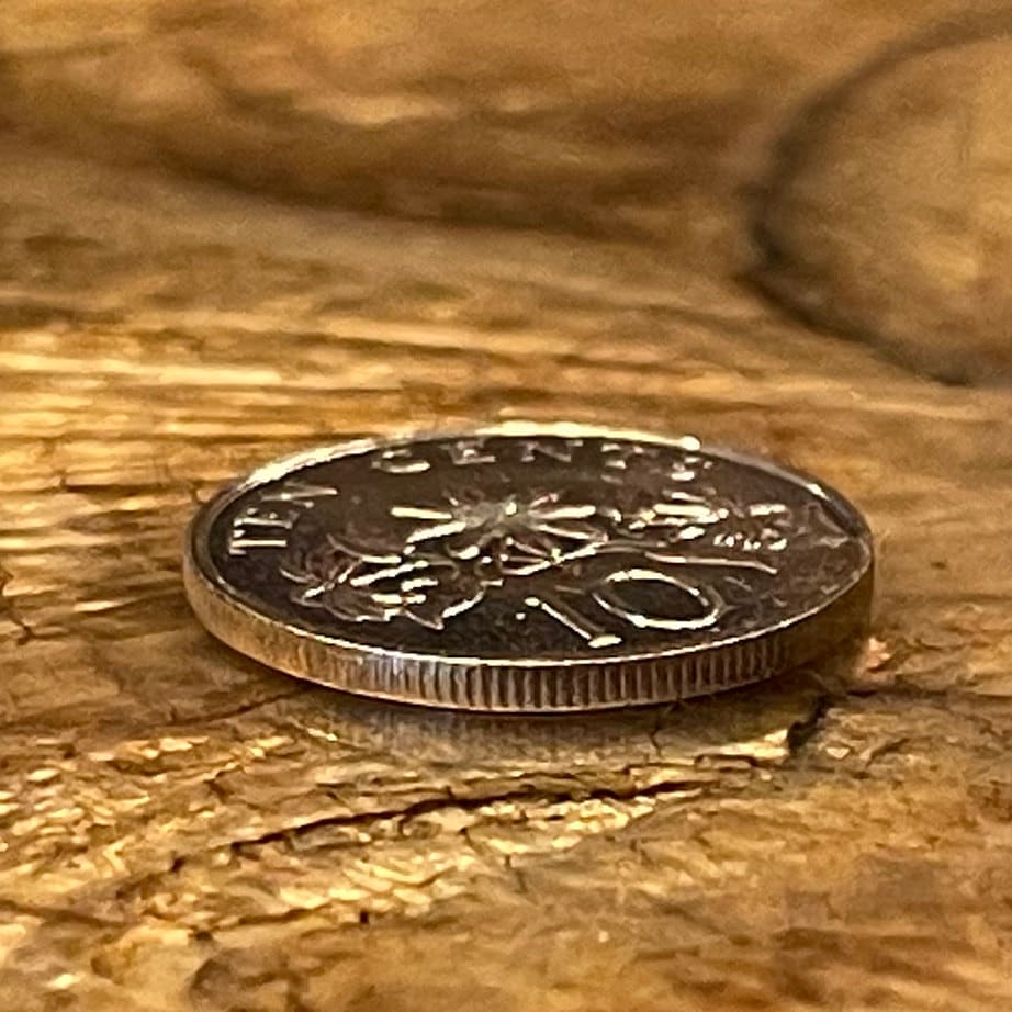Star Jasmine 10 Cents Singapore Authentic Coin Money for Jewelry and Craft Making (Kund) (Hindu Bridal Garland)