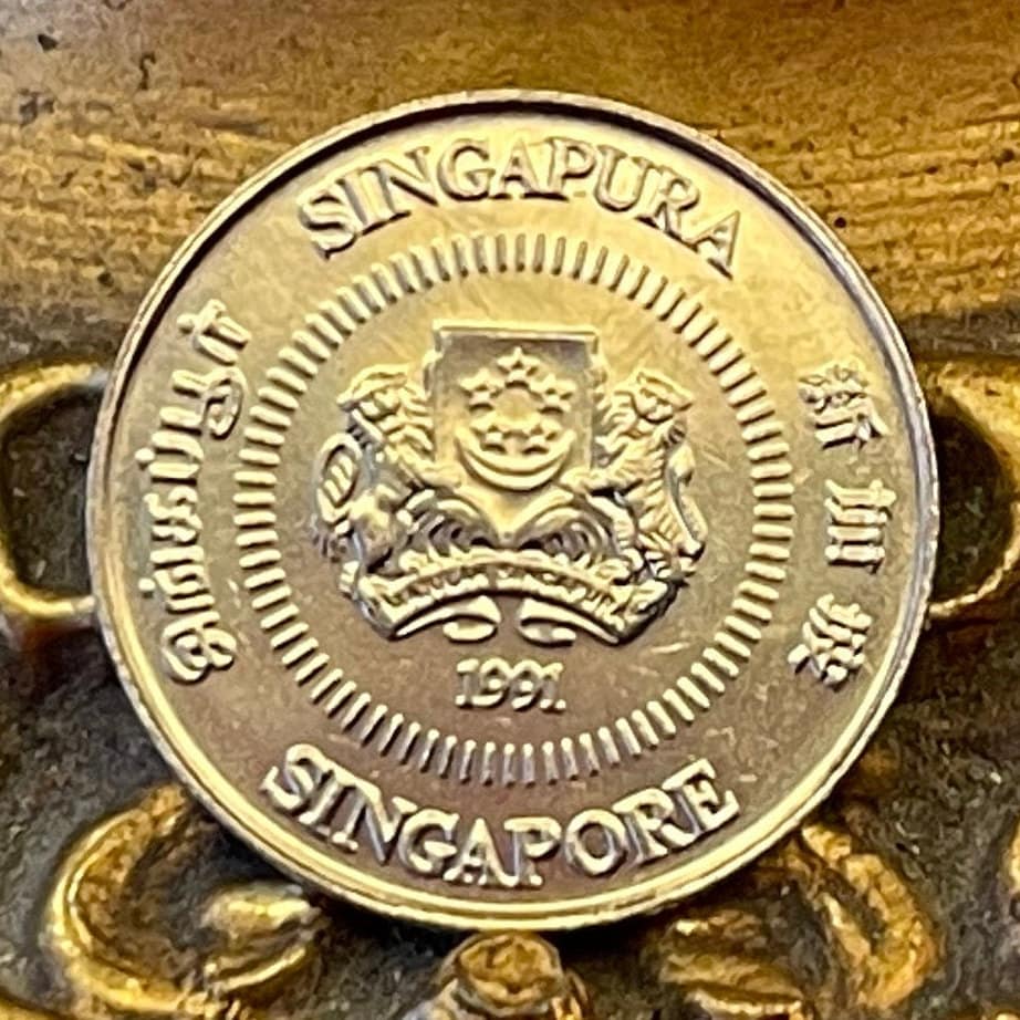 Star Jasmine 10 Cents Singapore Authentic Coin Money for Jewelry and Craft Making (Kund) (Hindu Bridal Garland)