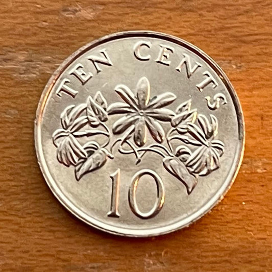 Star Jasmine 10 Cents Singapore Authentic Coin Money for Jewelry and Craft Making (Kund) (Hindu Bridal Garland)