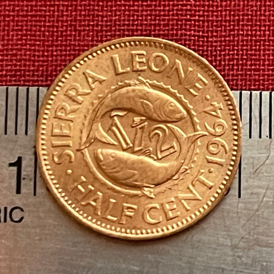 Bonga Shad & Sir Milton Margai 1/2 Cent Sierra Leone Authentic Coin Money for Jewelry and Craft Making (1964)