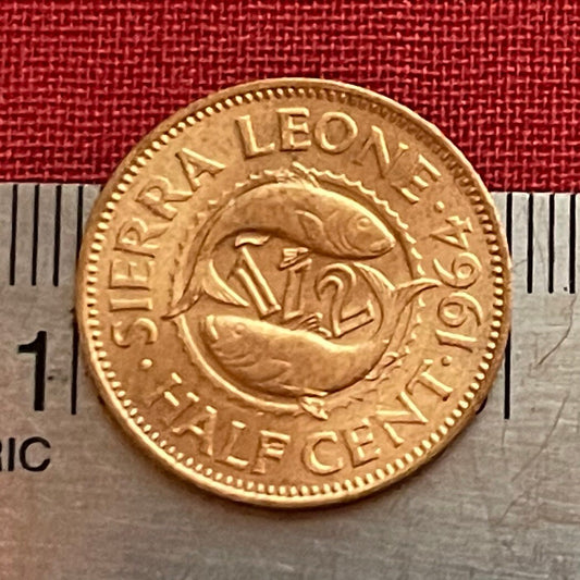 Bonga Shad & Sir Milton Margai 1/2 Cent Sierra Leone Authentic Coin Money for Jewelry and Craft Making (1964)