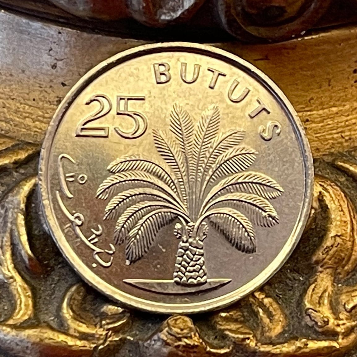 African Oil Palm 25 Bututs Gambia Authentic Coin Money for Jewelry and Craft Making (1998)