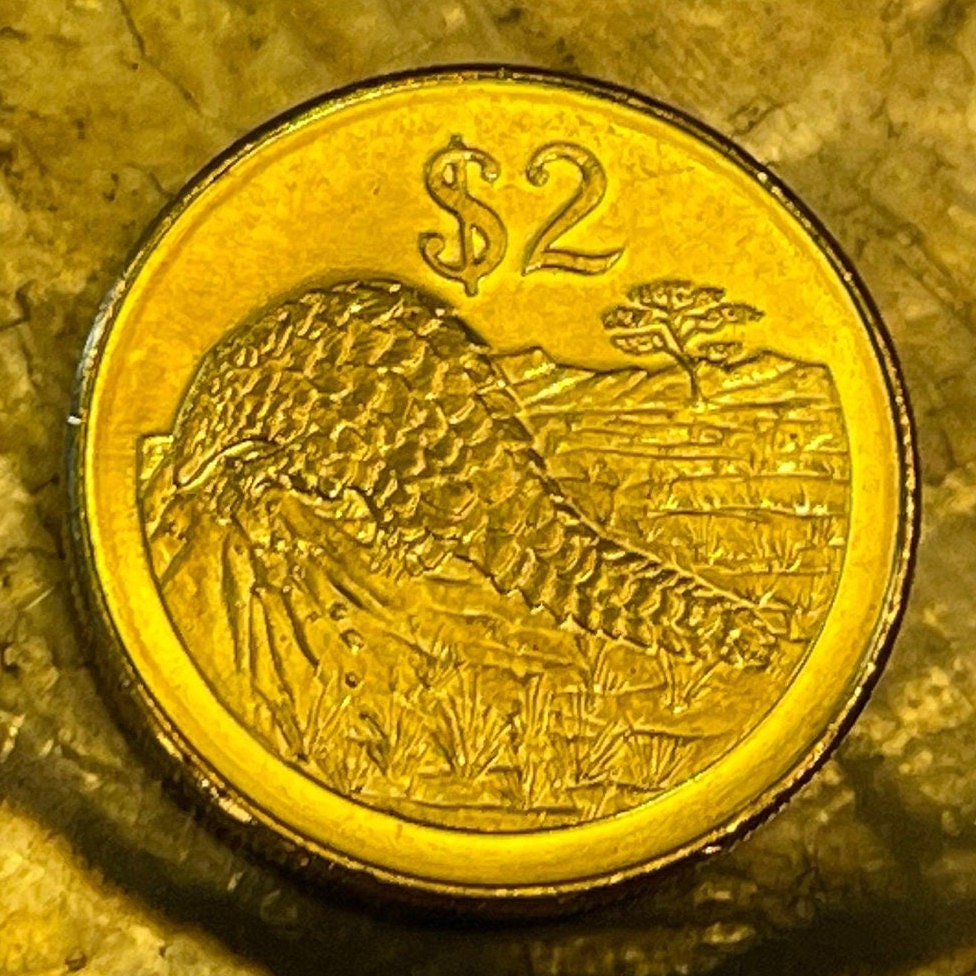 Pangolin 2 Dollars Zimbabwe Authentic Coin Money for Jewelry and Craft Making (Scaly Anteater) (Chinese Folk Medicine) (Lactation)