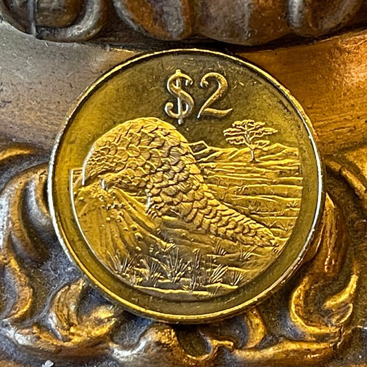 Pangolin 2 Dollars Zimbabwe Authentic Coin Money for Jewelry and Craft Making (Scaly Anteater) (Chinese Folk Medicine) (Lactation)