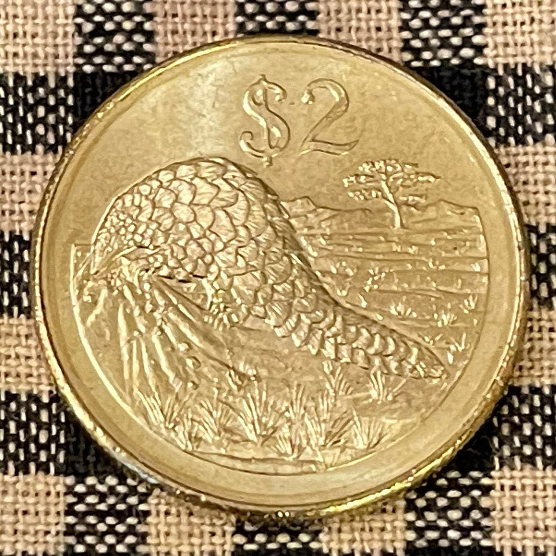 Pangolin 2 Dollars Zimbabwe Authentic Coin Money for Jewelry and Craft Making (Scaly Anteater) (Chinese Folk Medicine) (Lactation)