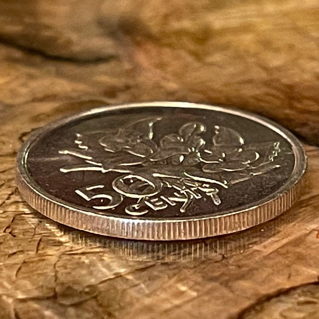 Vanilla Orchid 50 Cents Seychelles Authentic Coin Money for Jewelry and Crafts Making (1977)