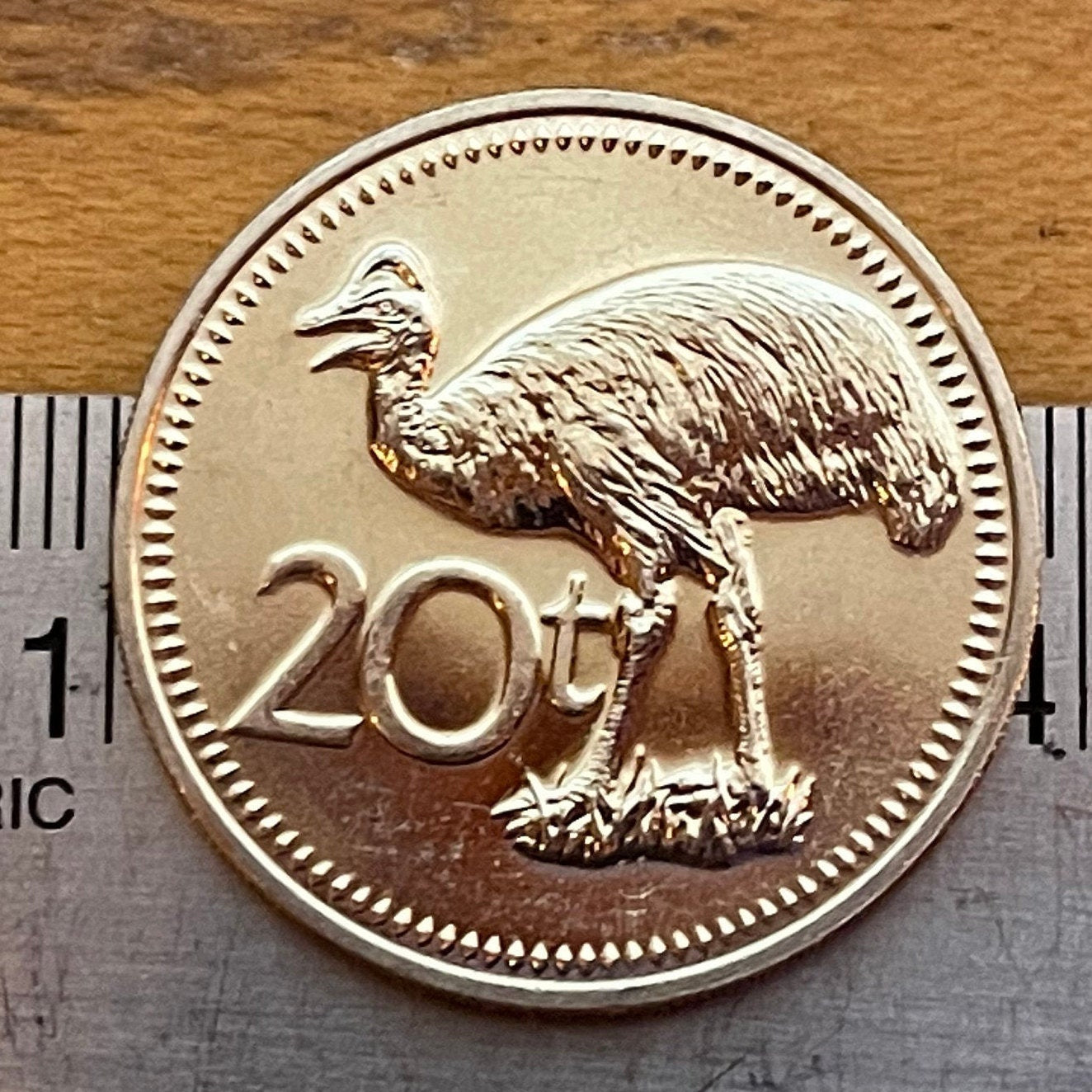 Dwarf Cassowary & Bird of Paradise 20 Toea Papua New Guinea Authentic Coin Money for Jewelry and Craft Making