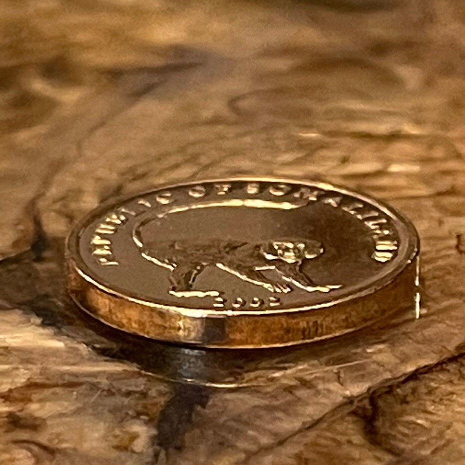 Vervet Monkey 10 Shillings Somaliland Authentic Coin Money for Jewelry and Craft Making (2002)