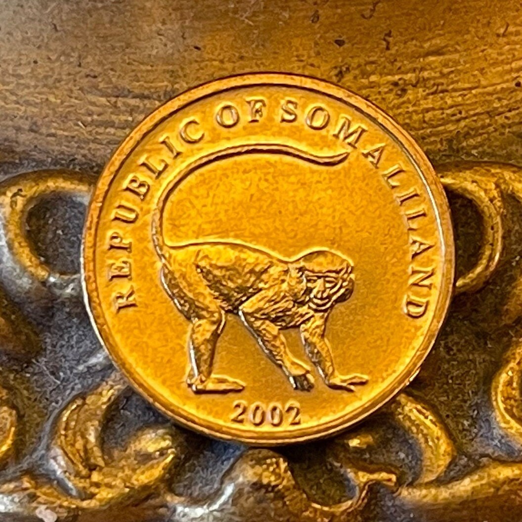 Vervet Monkey 10 Shillings Somaliland Authentic Coin Money for Jewelry and Craft Making (2002)