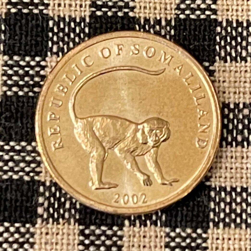 Vervet Monkey 10 Shillings Somaliland Authentic Coin Money for Jewelry and Craft Making (2002)