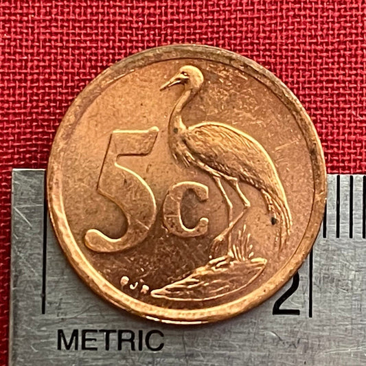 Paradise Crane (Copper) 5 Cents South Africa Authentic Coin Money for Jewelry (Heroism) (Blue Crane) (Power Through Unity) Resist Apartheid