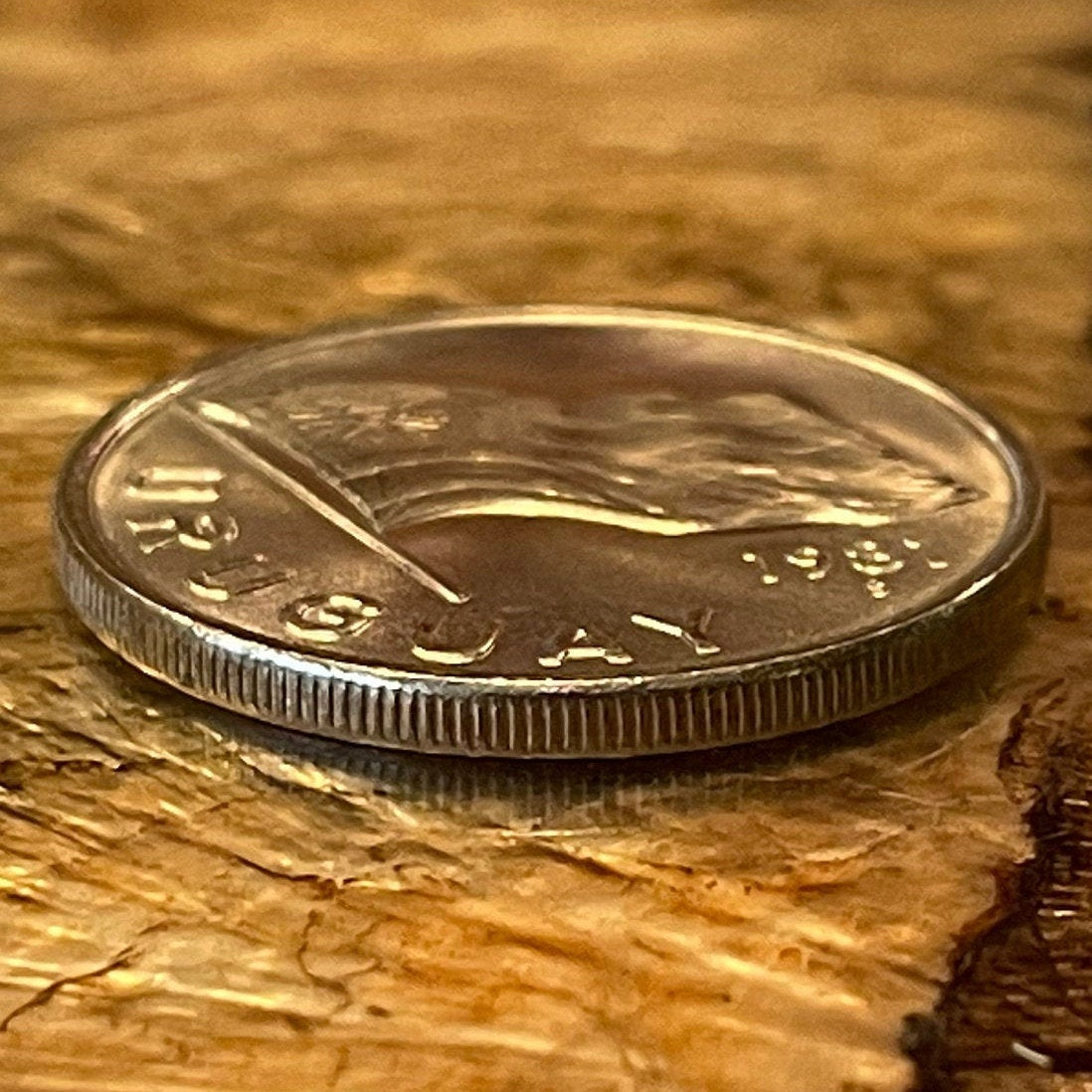 Flag Waving & Cockspur Coral Flower 5 New Pesos Uruguay Authentic Coin Money for Jewelry (Sun of May) (Inca Sun God) (Sol Invictus)
