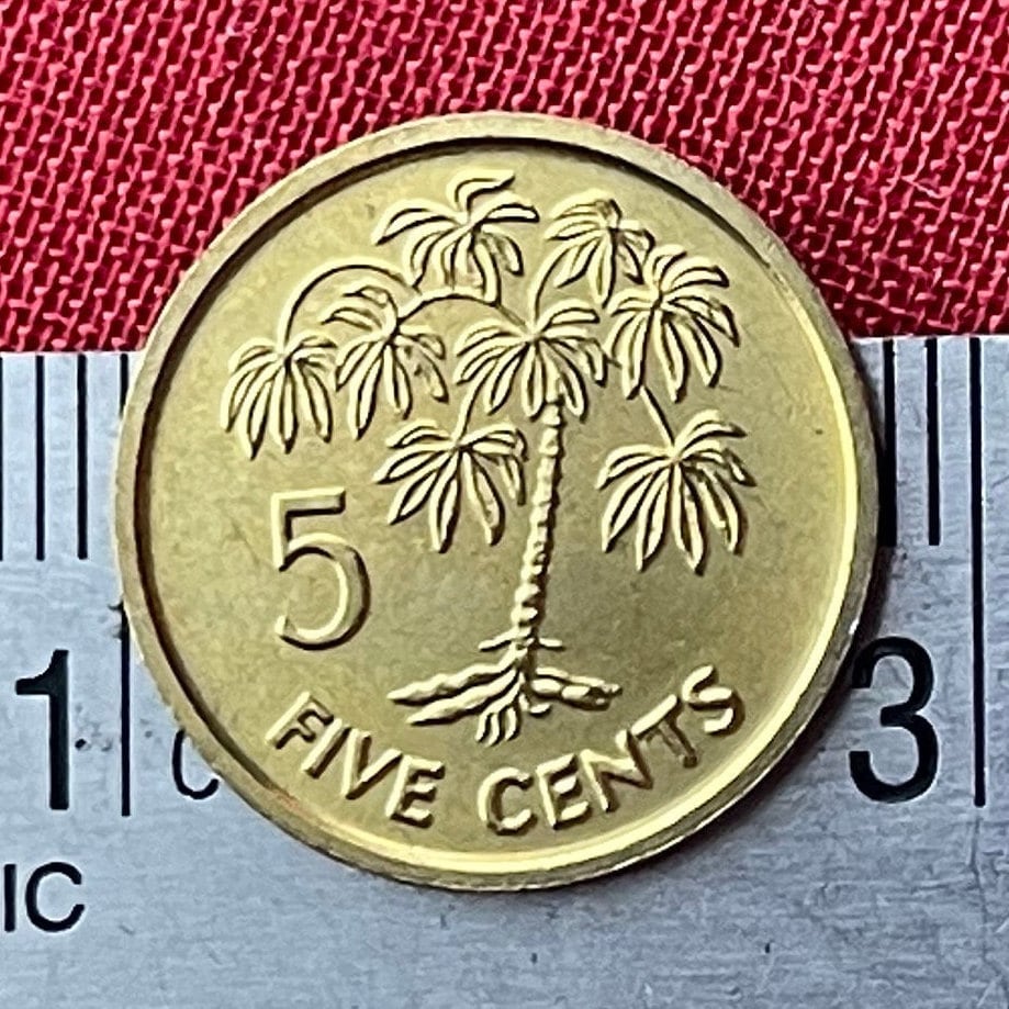 Cassava 5 Cents Seychelles Authentic Coin Money for Jewelry and Craft Making (Manioc)