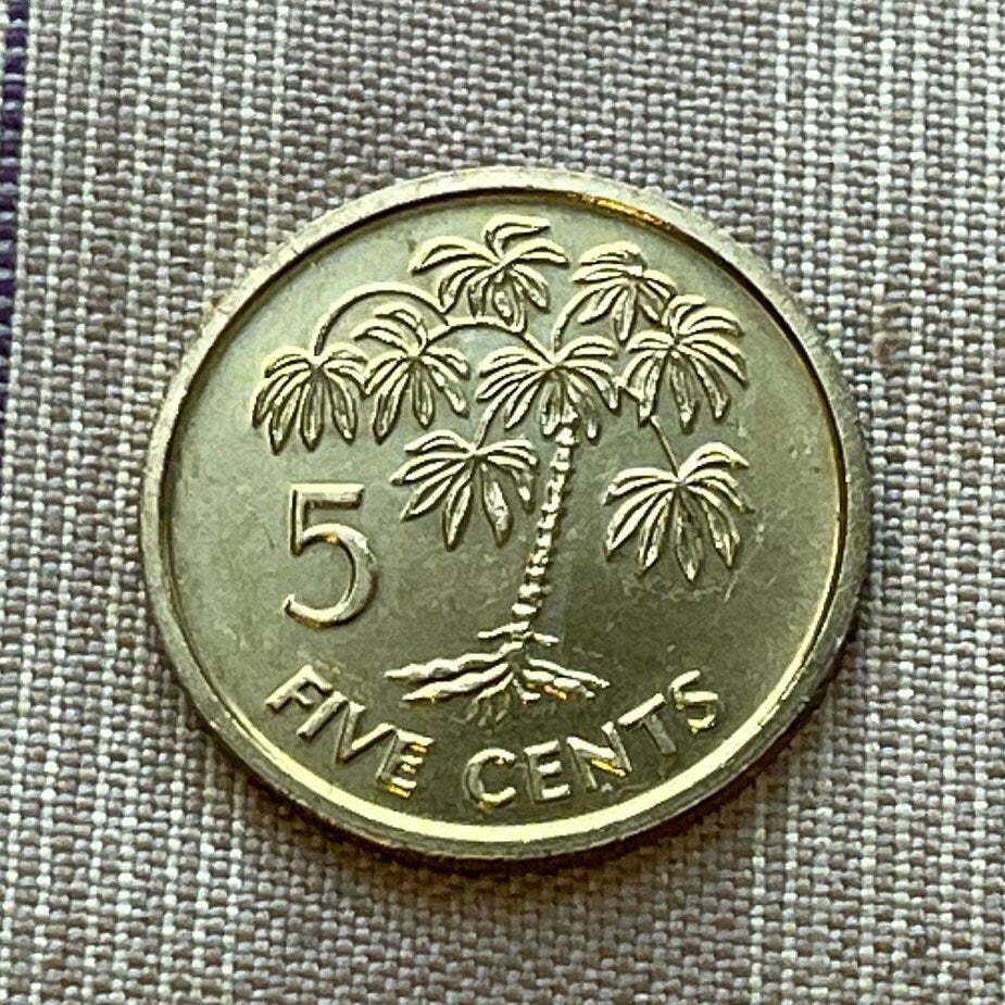 Cassava 5 Cents Seychelles Authentic Coin Money for Jewelry and Craft Making (Manioc)