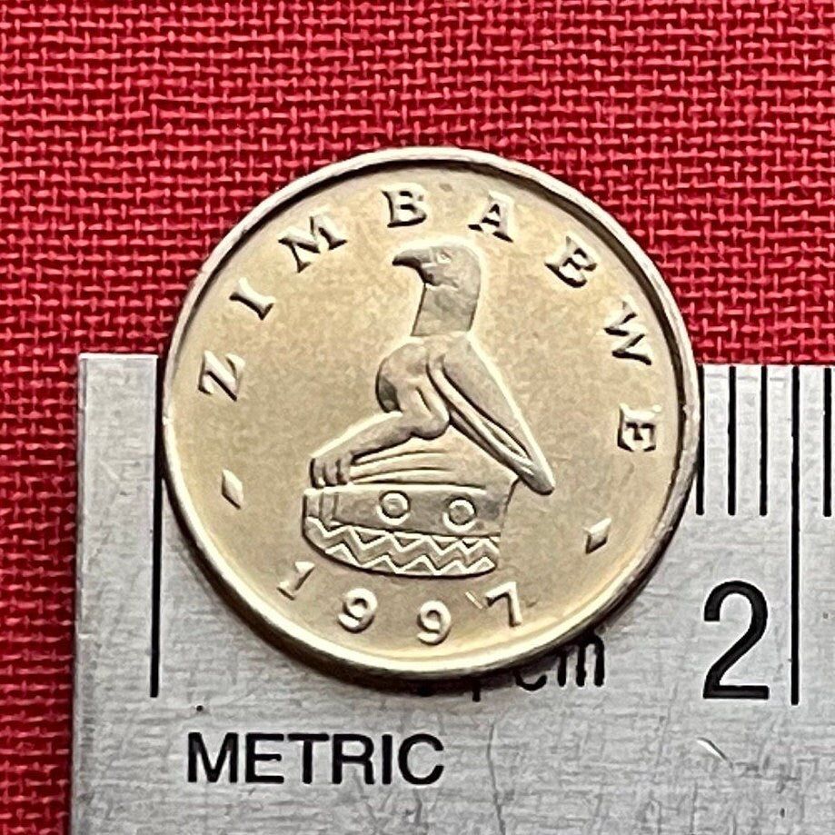 Scrub Hare & Great Zimbabwe Bird 5 Cents Zimbabwe Authentic Coin Money for Jewelry and Craft Making (Rabbit) (Bunny) (Easter Bunny)