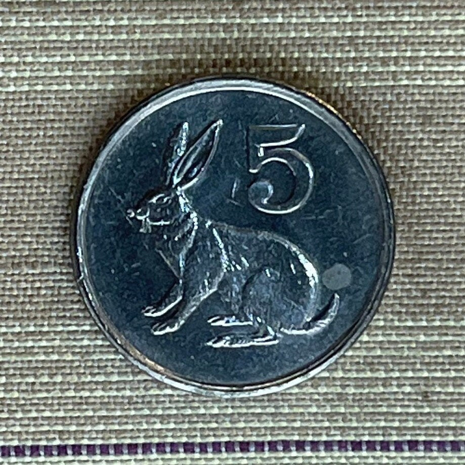 Scrub Hare & Great Zimbabwe Bird 5 Cents Zimbabwe Authentic Coin Money for Jewelry and Craft Making (Rabbit) (Bunny) (Easter Bunny)