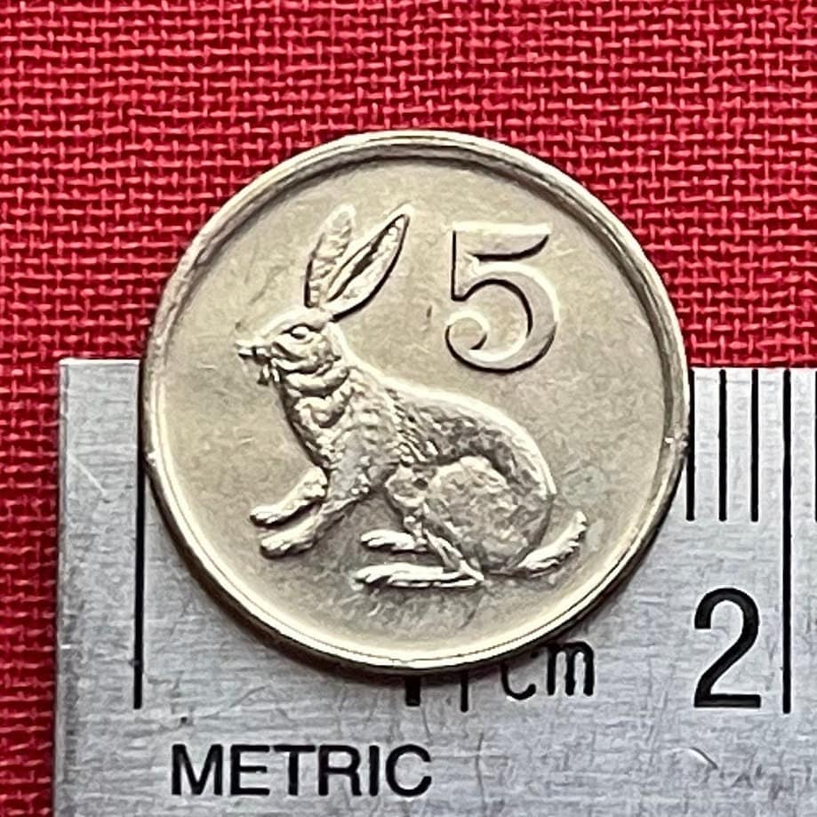 Scrub Hare & Great Zimbabwe Bird 5 Cents Zimbabwe Authentic Coin Money for Jewelry and Craft Making (Rabbit) (Bunny) (Easter Bunny)