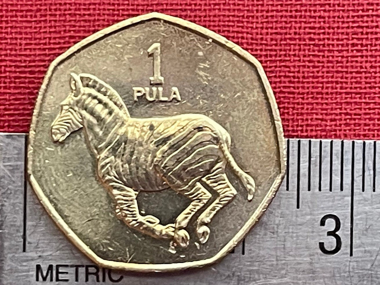Zebra 1 Pula Botswana Authentic Coin Money for Jewelry and Craft Making (Rain) (Racial Harmony) (Zebra Stripes)