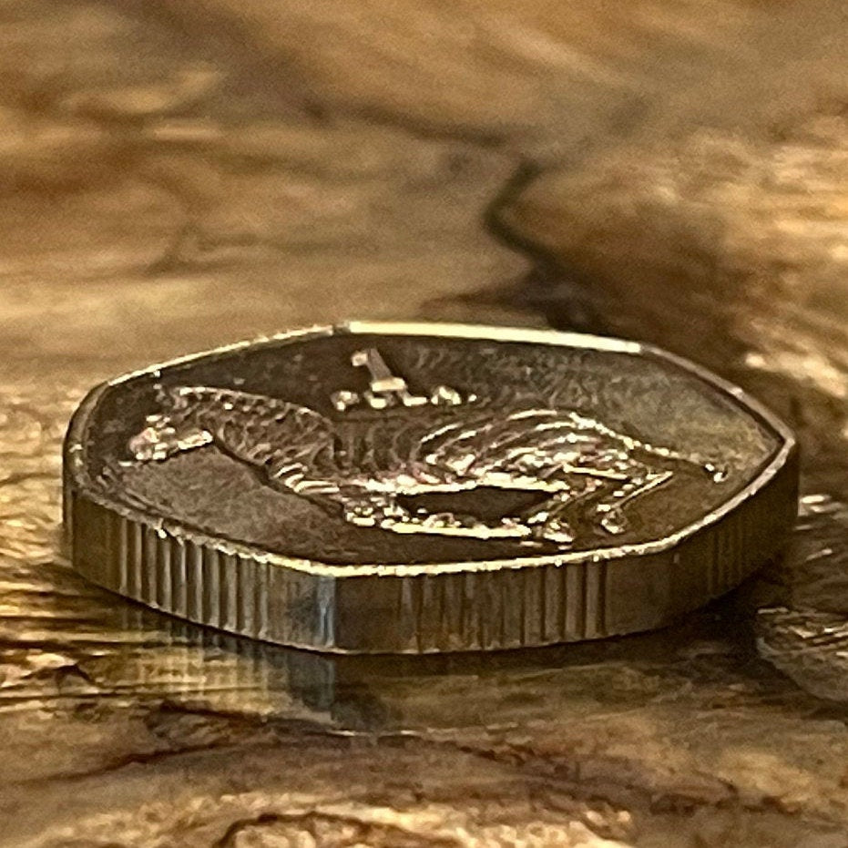 Zebra 1 Pula Botswana Authentic Coin Money for Jewelry and Craft Making (Rain) (Racial Harmony) (Zebra Stripes)