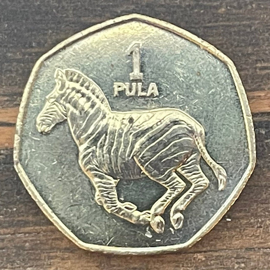 Zebra 1 Pula Botswana Authentic Coin Money for Jewelry and Craft Making (Rain) (Racial Harmony) (Zebra Stripes)