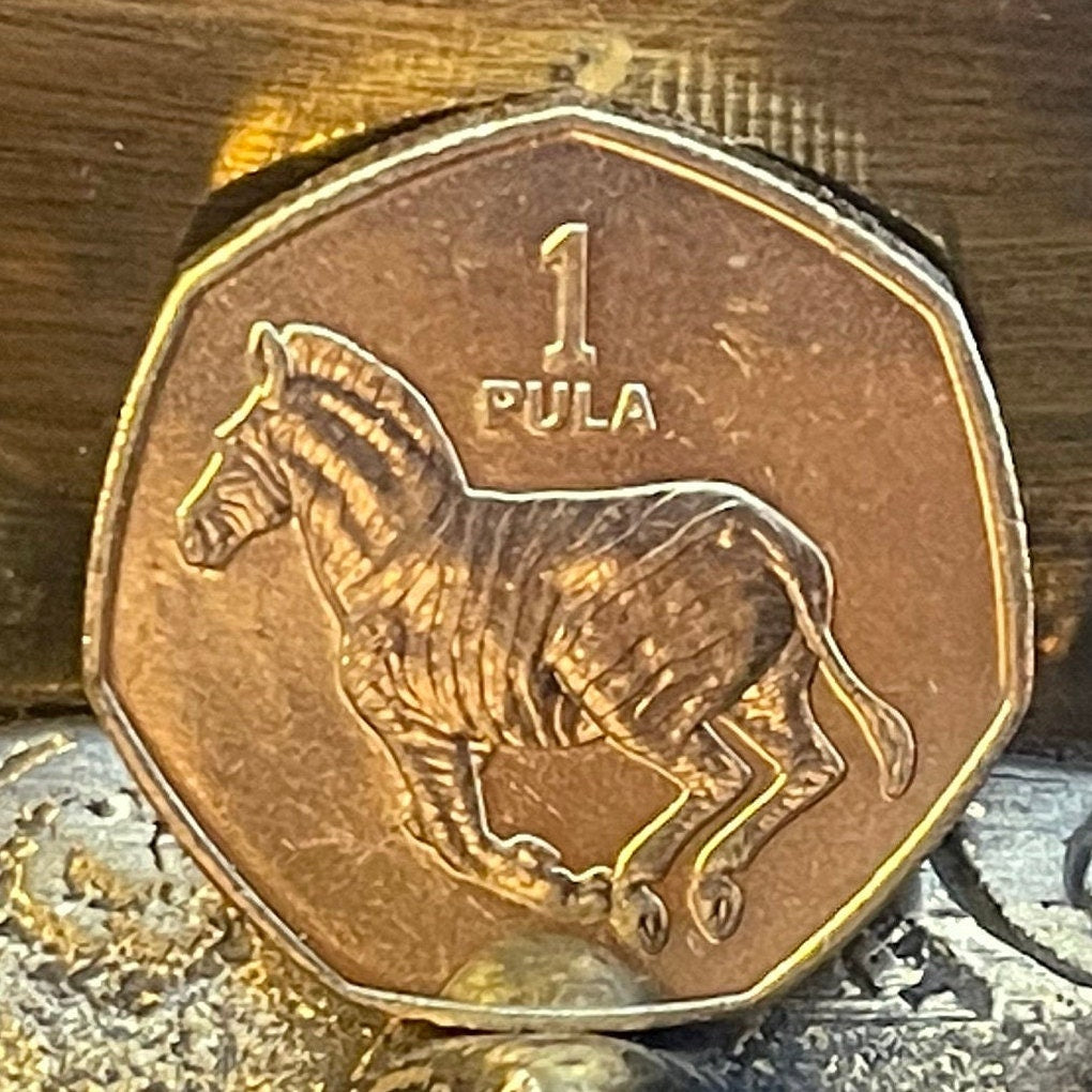 Zebra 1 Pula Botswana Authentic Coin Money for Jewelry and Craft Making (Rain) (Racial Harmony) (Zebra Stripes)