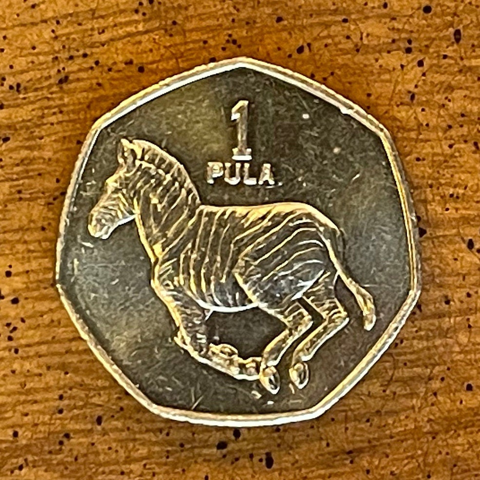 Zebra 1 Pula Botswana Authentic Coin Money for Jewelry and Craft Making (Rain) (Racial Harmony) (Zebra Stripes)