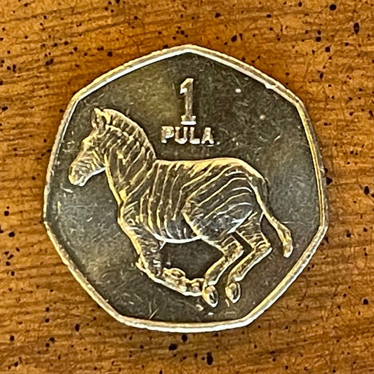 Zebra 1 Pula Botswana Authentic Coin Money for Jewelry and Craft Making (Rain) (Racial Harmony) (Zebra Stripes)