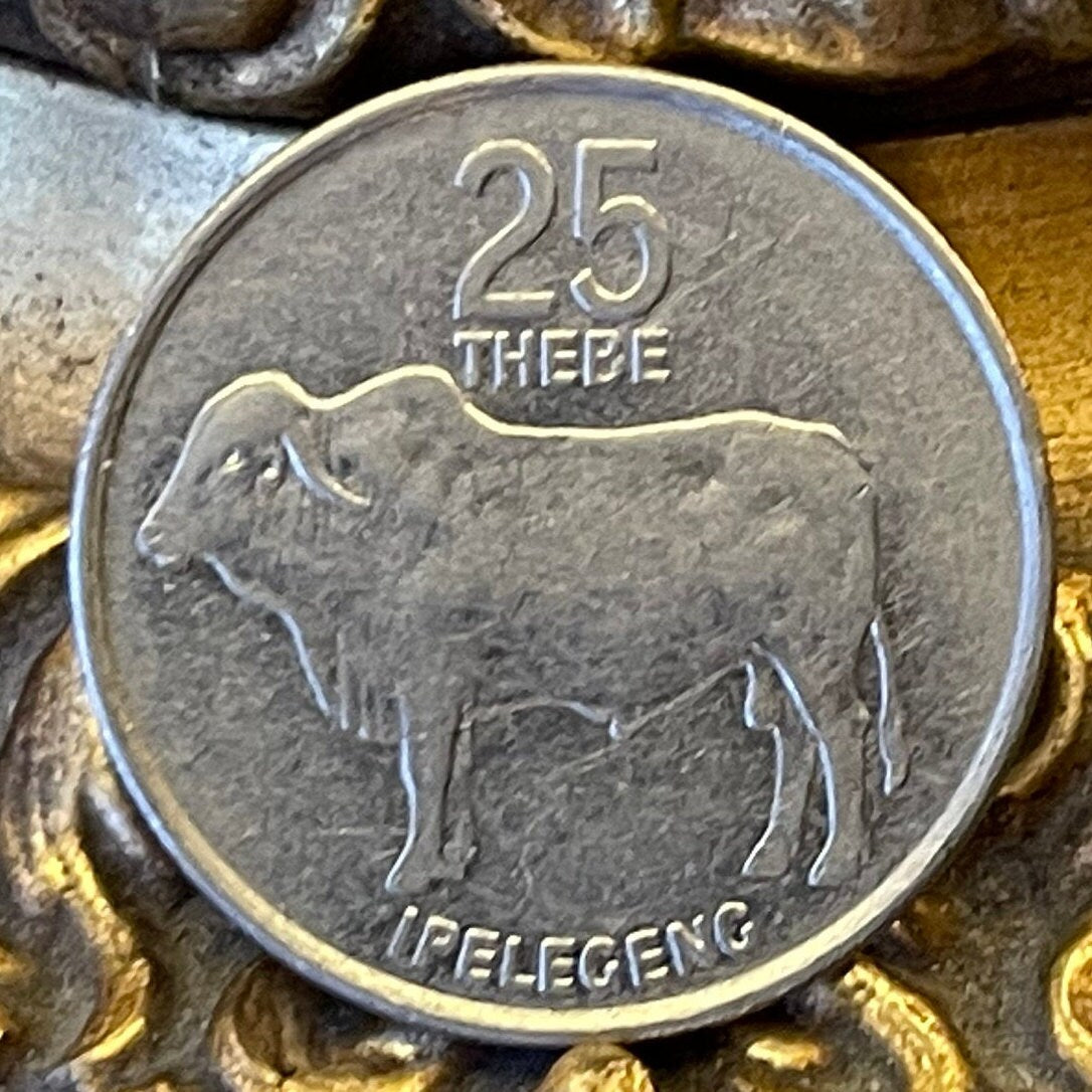 Zebu 25 Thebe Botswana Authentic Coin Money for Jewelry and Craft Making (Rain) (Racial Harmony) (Pula) (Self Sufficiency) (Taurus)