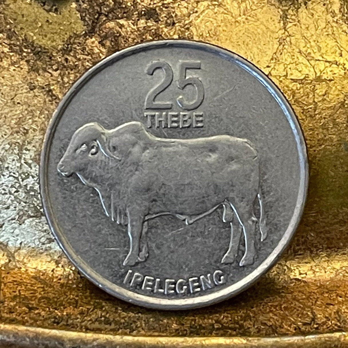 Zebu 25 Thebe Botswana Authentic Coin Money for Jewelry and Craft Making (Rain) (Racial Harmony) (Pula) (Self Sufficiency) (Taurus)
