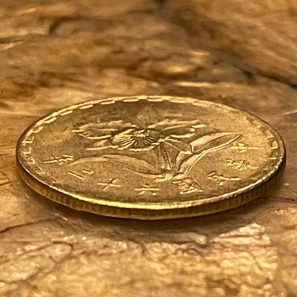 Mayling Orchid 5 Jiao Taiwan Authentic Coin Money for Jewelry and Craft Making (Republic of China)