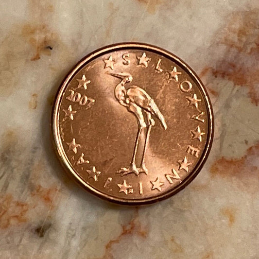 White Stork 1 Euro Cent Slovenia Authentic Coin Money for Jewelry and Craft Making