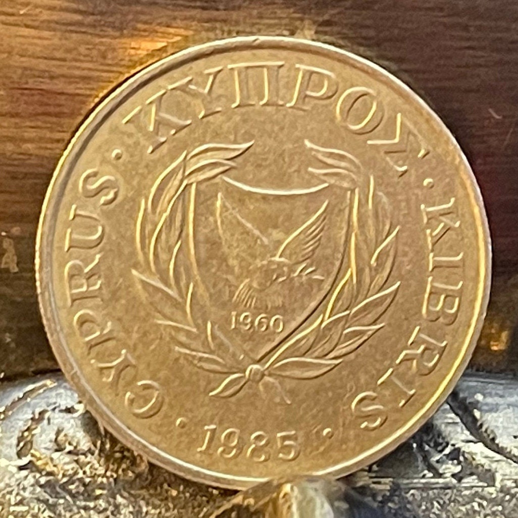 Bird Flower Vase of Phini & Dove w/Olive Branch 10 Cents Cyprus Authentic Coin Money for Jewelry (Traditional Pottery) (Noah's Ark) (1983)