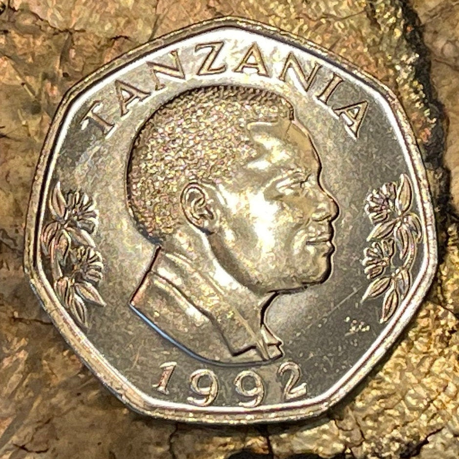 Elephant Mother and Baby & President Mwinyi 20 Shilingi Tanzania Authentic Coin Money for Jewelry and (Elephant Calf) 1992 (Heptagonal)
