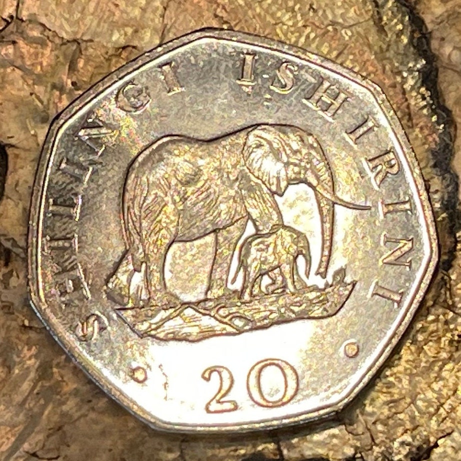Elephant Mother and Baby & President Mwinyi 20 Shilingi Tanzania Authentic Coin Money for Jewelry and (Elephant Calf) 1992 (Heptagonal)