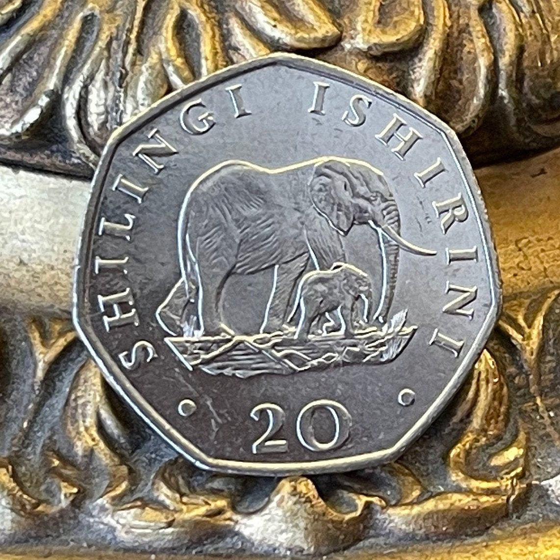 Elephant Mother and Baby & President Mwinyi 20 Shilingi Tanzania Authentic Coin Money for Jewelry and (Elephant Calf) 1992 (Heptagonal)