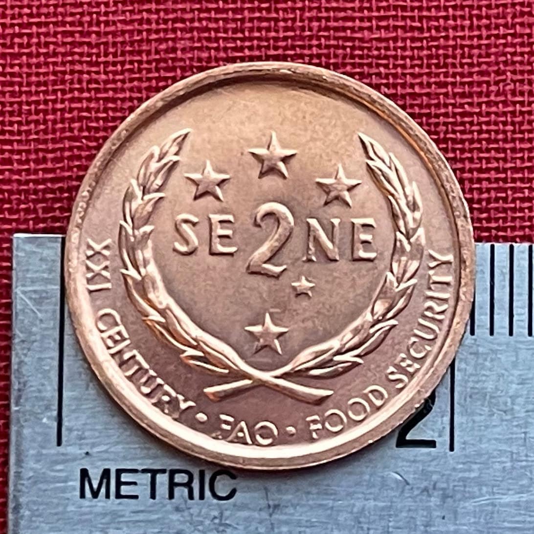 Southern Cross Constellation ("Crux") & President Malietoa Tanumafili II 2 Sene Samoa Authentic Coin Money for Jewelry (FAO) (Stars)