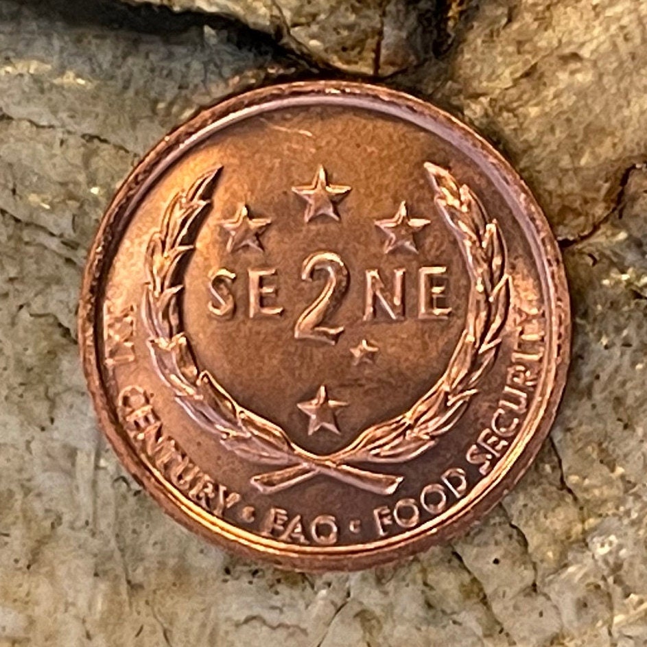 Southern Cross Constellation ("Crux") & President Malietoa Tanumafili II 2 Sene Samoa Authentic Coin Money for Jewelry (FAO) (Stars)