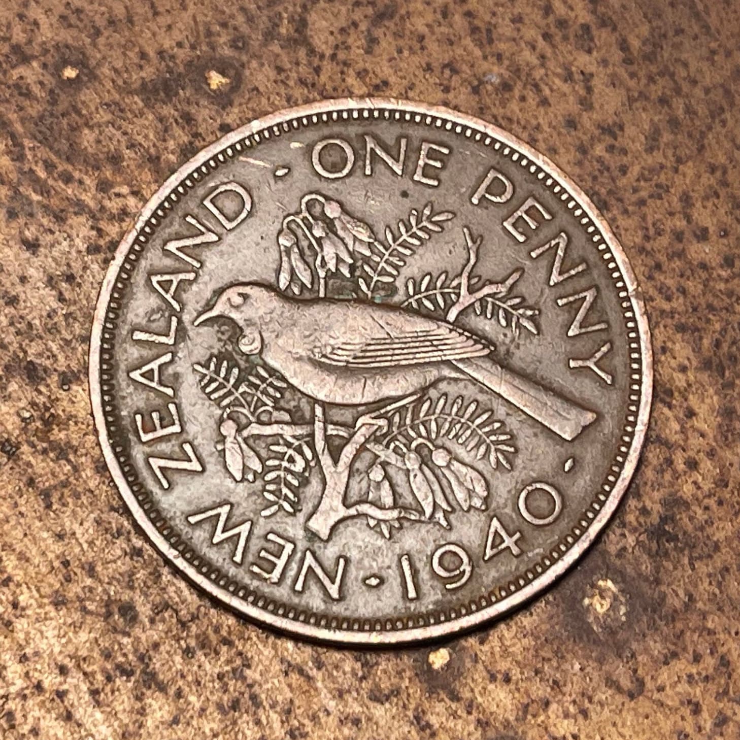 Tui Bird & King George VI 1 Penny New Zealand Authentic Coin Money for Jewelry and Craft Making (Maori) (Talking Bird) (Kowhai)