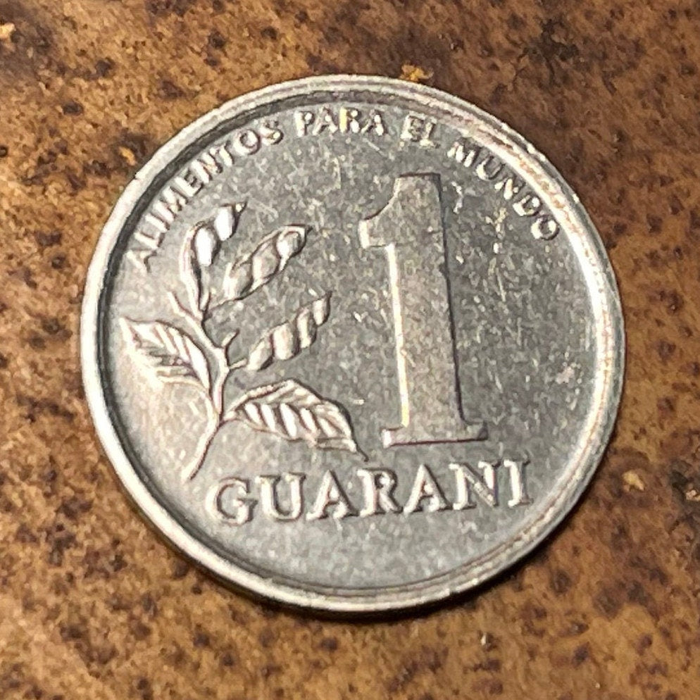 Soldier & Soybeans 1 Guarani Paraguay Authentic Coin Money for Jewelry and Craft Making (Food for the World) (FAO) (Rifle)
