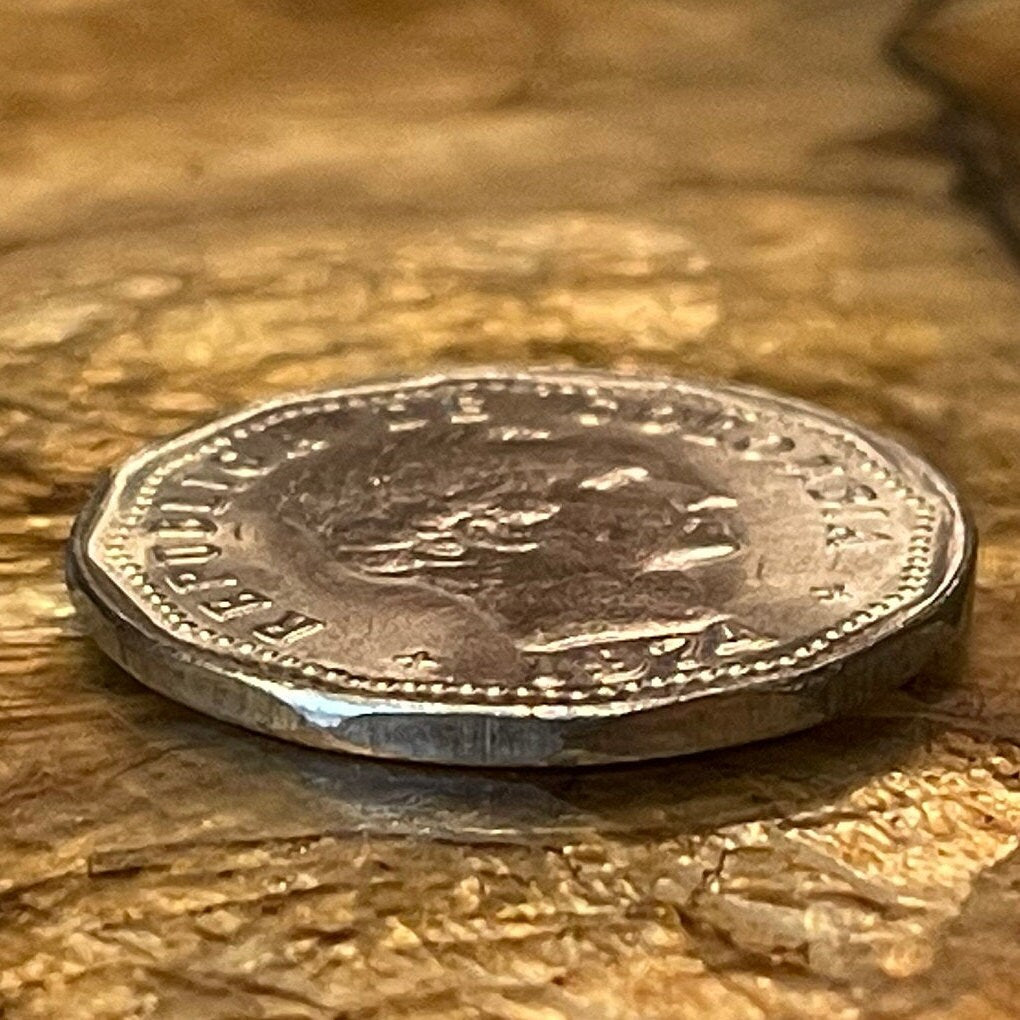 Francisco de Paula Santander 50 Centavos Colombia Authentic Coin Money for Jewelry (Man of the Laws) (War of Independence) (New Granada)