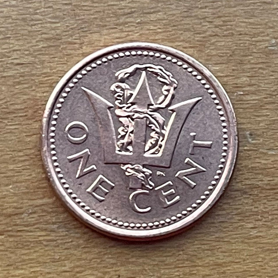Trident of Poseidon 1 Cent Barbados Authentic Coin Money for Jewelry and Craft Making (Broken Trident) (Seaweed) (Democracy)