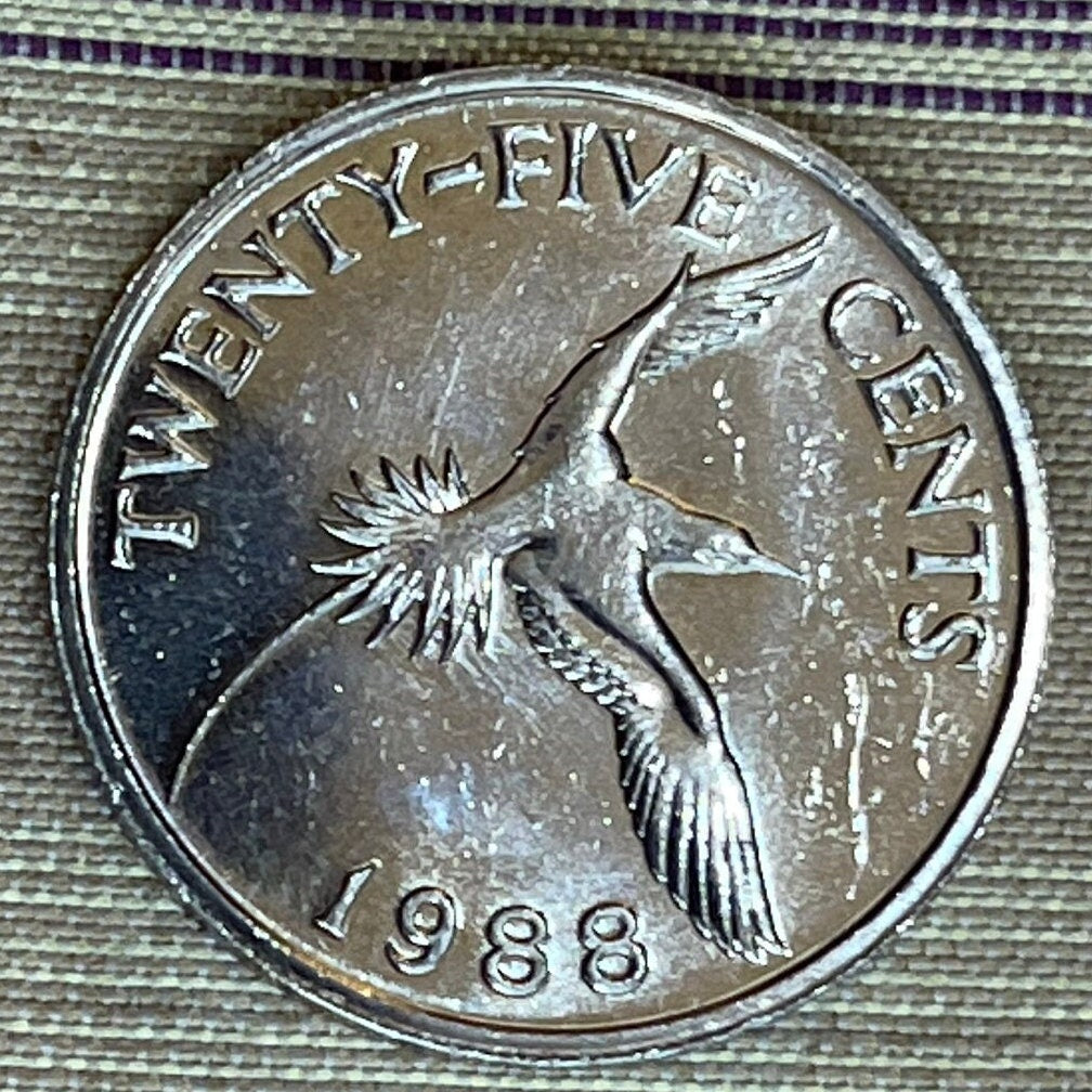 White-Tailed Tropicbird 25 Cents Bermuda Authentic Coin Money for Jewelry and Craft Making (Chamorro Death-Screaming Utak)
