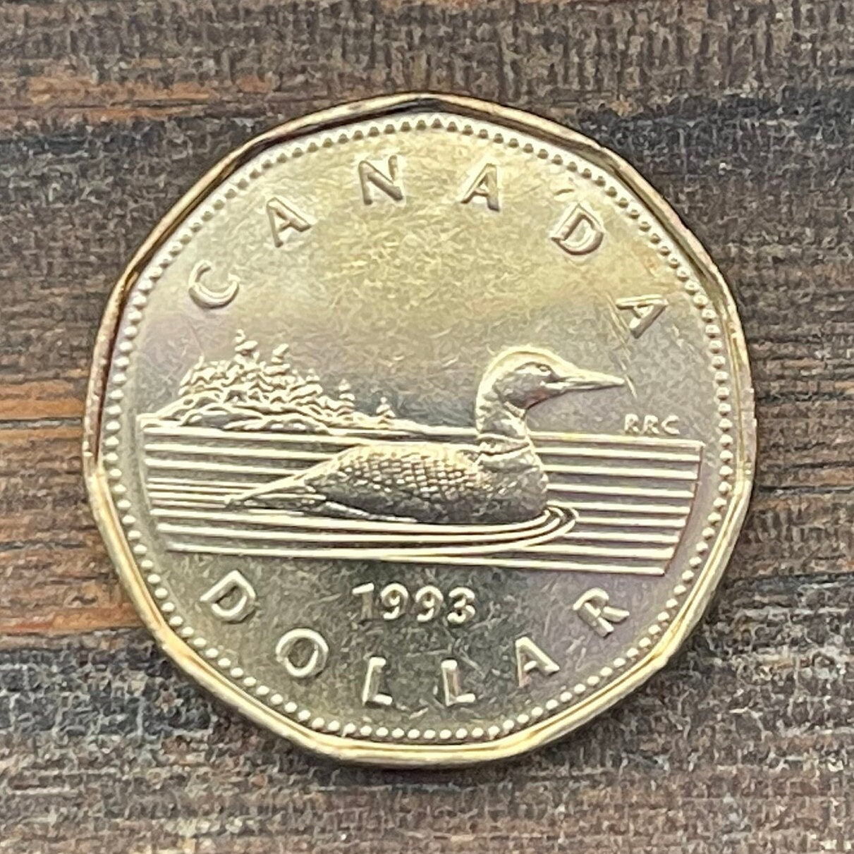 Loonie One Dollar Canada Authentic Coin Money for Jewelry and Craft Making (Canadian Loon) (Hendecagonal) (11-sided)